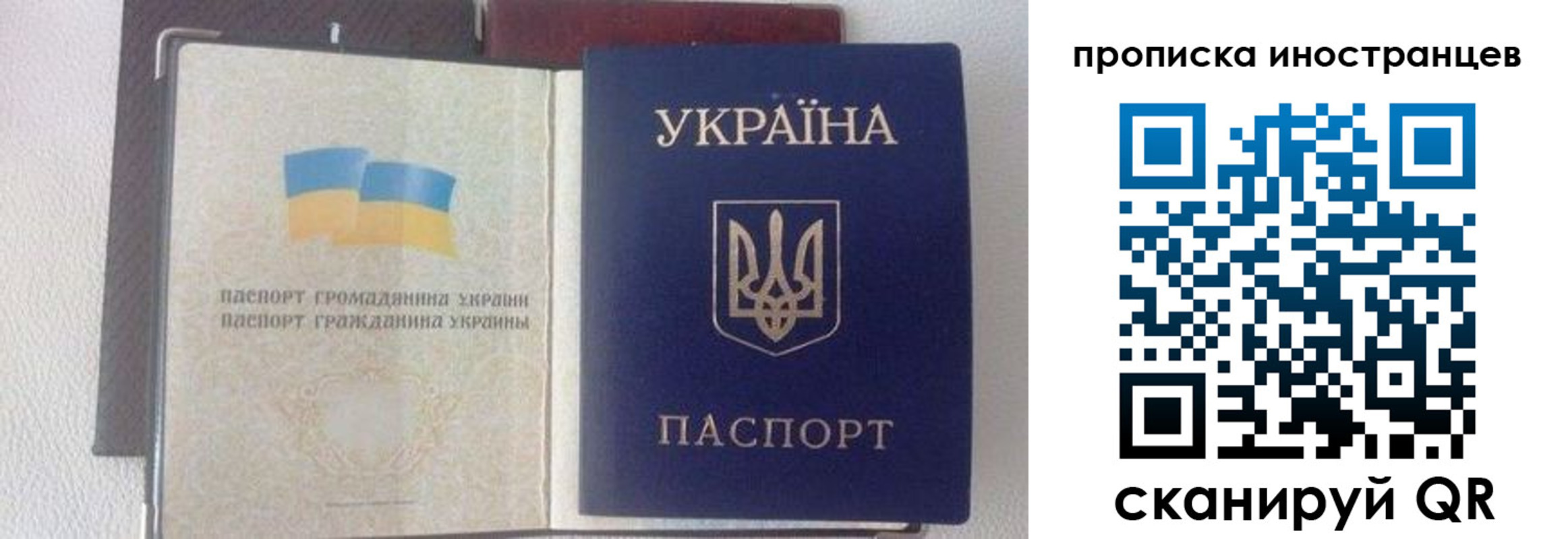 регистрация в Калининградской области